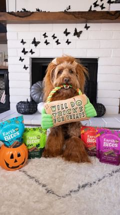Instagram post by @hellorubydoodle for Earthborn Holistic Pet Food. Caption reads: Brush up on your tricks so you can fill your treat....