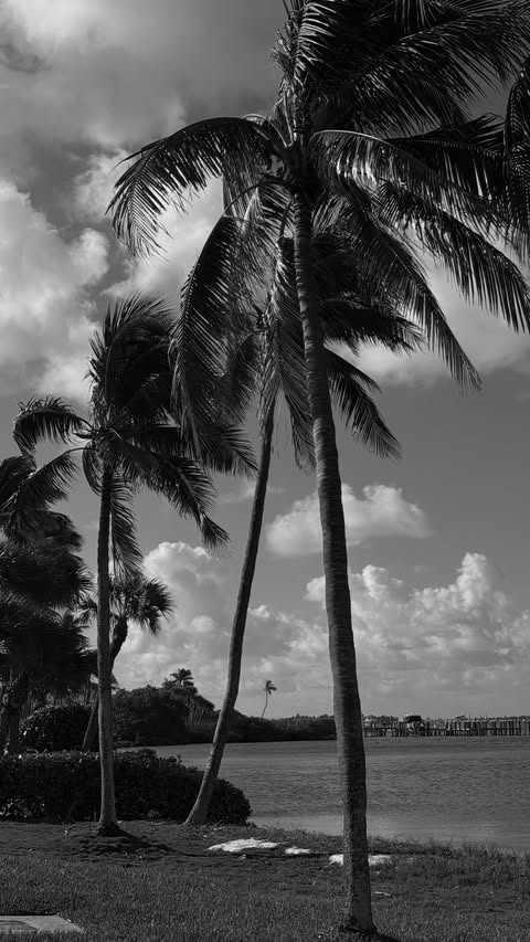 Instagram post by @gabrielle_britez for Alo Moves. Caption reads: Movement therapy @alowellnessclub ✨♾️.