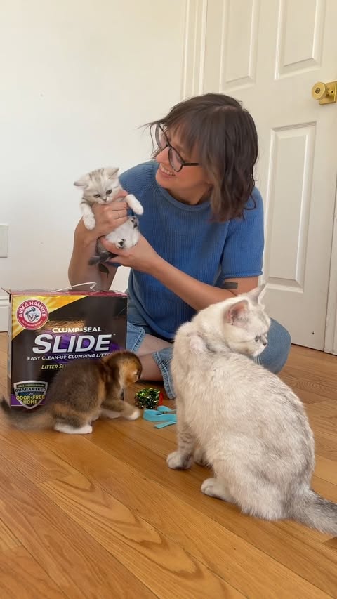Instagram post by @heidiwranglescats for Arm & Hammer. Caption reads: [...] milestones. I also love that the Arm &....