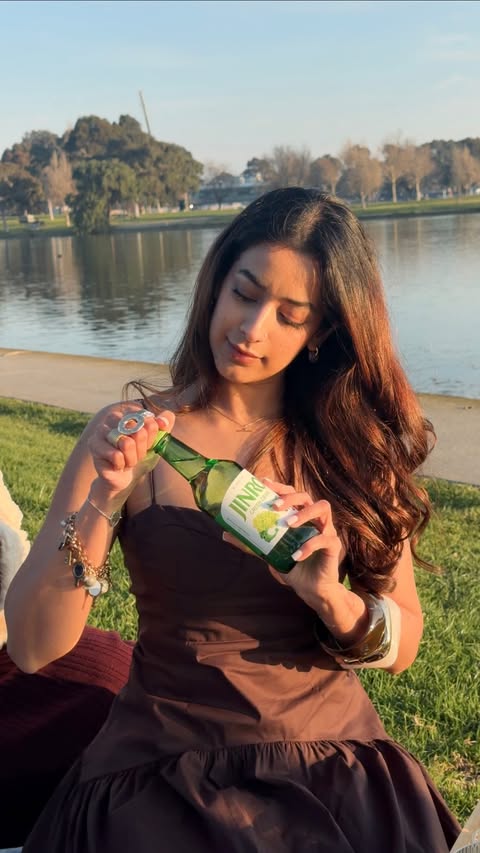 Instagram post by @arpitachawlaa for Jinro. Caption reads: [...] chat made it to the picnic 🧺 Thanks....