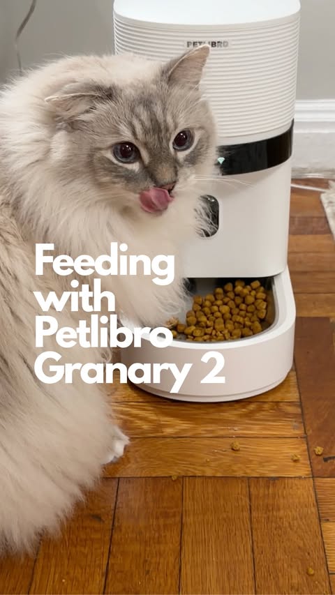 Instagram post by @girlsandtheircats for PETLIBRO. Caption reads: @petlibro collaborated with us to share how the....