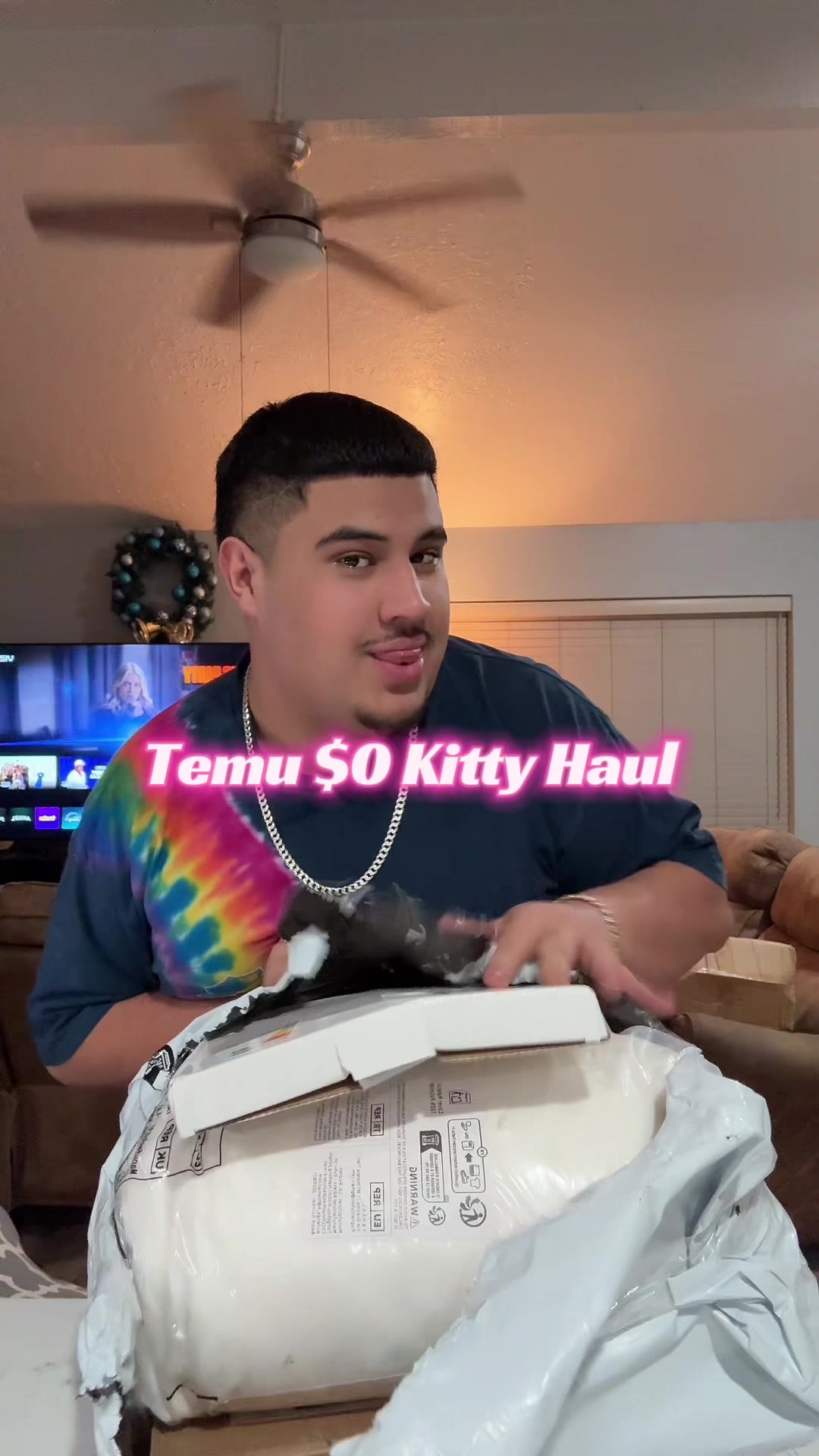 TikTok post by @notandierhoe for Temu. Caption reads: 1️⃣Download Temu App! 👉link: [...].