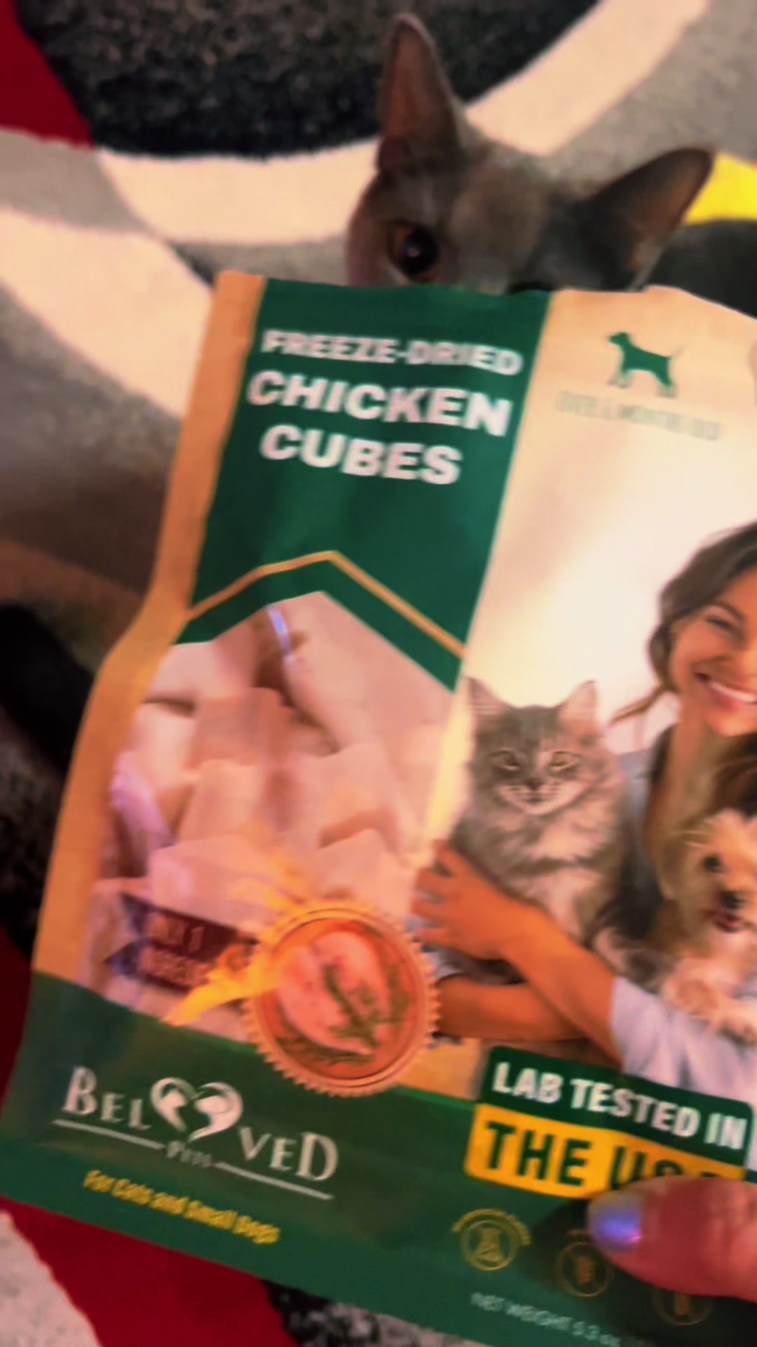 TikTok post by @concerned_kitty for Beloved Pets. Caption reads: Yay! We received by @Beloved Pets these Yummy!....