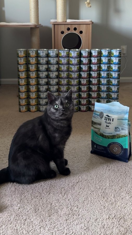 Instagram post by @woojoo_meowniverse for ZIWI Pet Food. Caption reads: #ad Discount Code WOOJOO20 for 20% Off! (Link in....