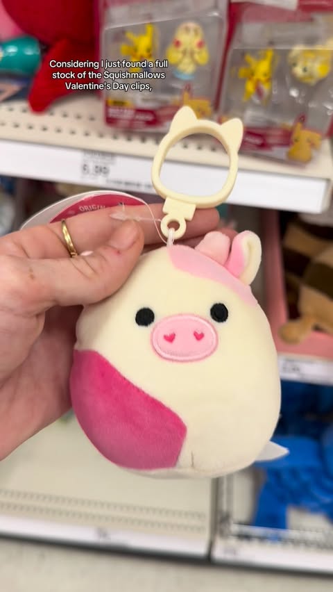 Instagram post by @danisquishie for Squishmallows. Caption reads: New Valentine’s Day squishmallows....