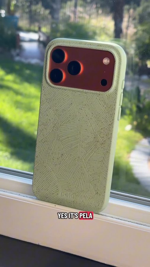 Instagram post by @hitomidocameraroll for Pela Case. Caption reads: It’s the 2nd link in my linktree.
#iphonecase....