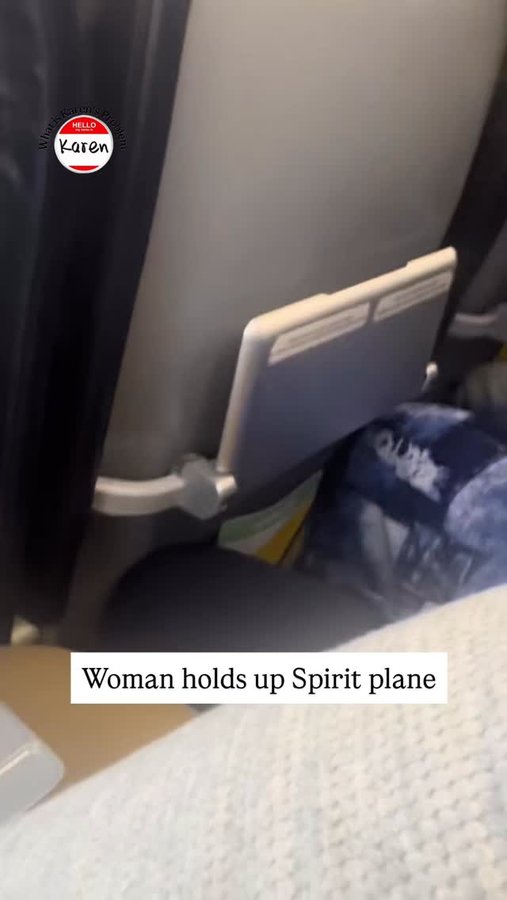 Instagram post by @whatiskarensproblem_ for Spirit Airlines. Caption reads: Loving the flex from the flight attendant!....