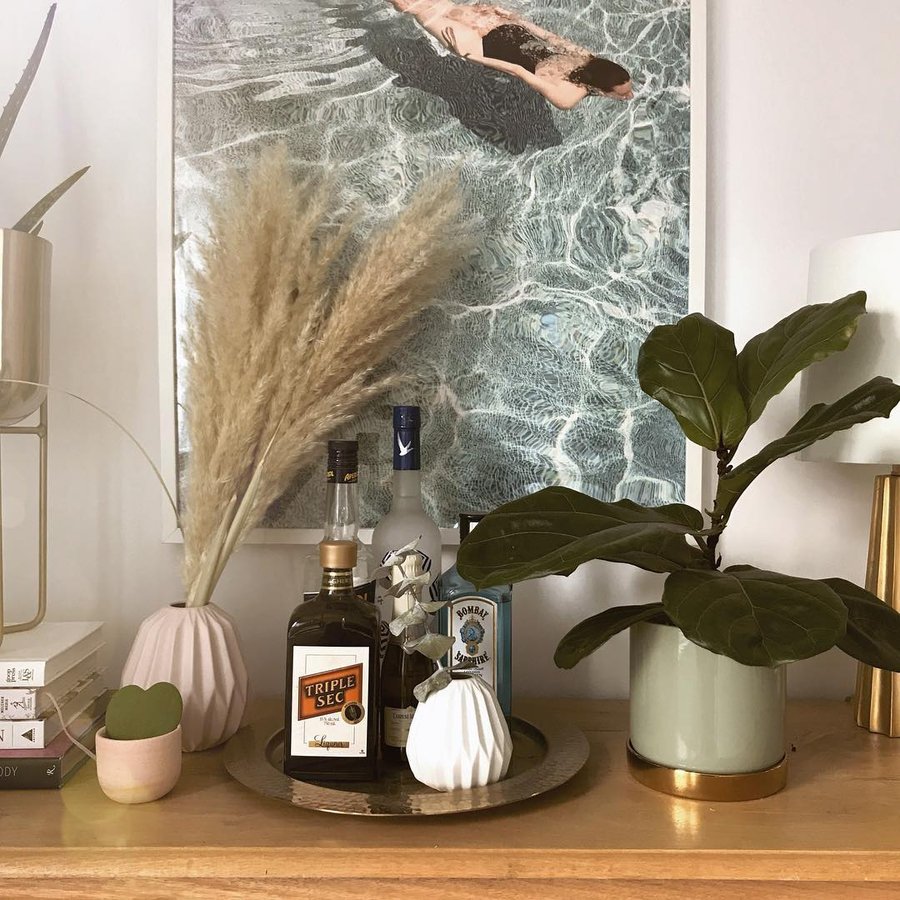 Instagram post by @by.ariane for MyDomaine. Caption reads: You can never have enough plants... or....