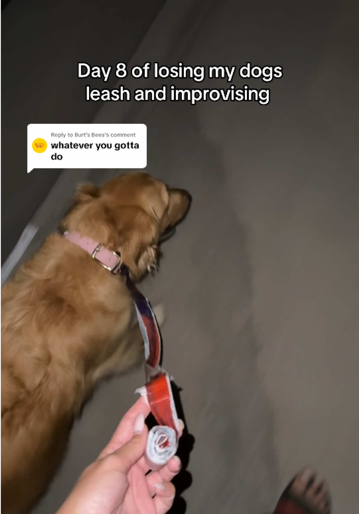 TikTok post by @doggycharlyy for Burt's Bees. Caption reads: Replying to @Burt's Bees girl dinner but make it a....