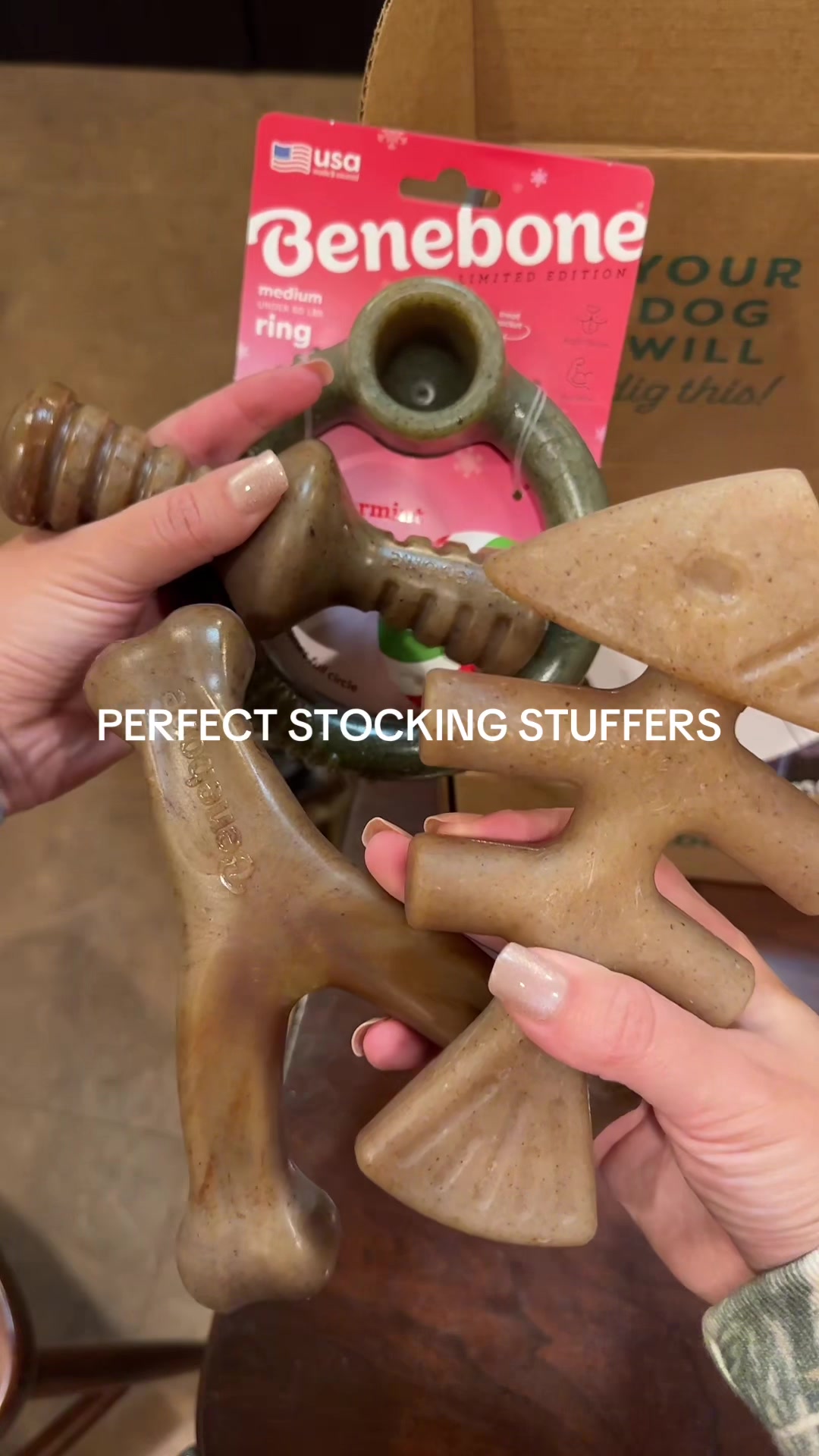 TikTok post by @bayleighwebb for Benebone. Caption reads: [...] our doggies deserve presents too🐶🎁....