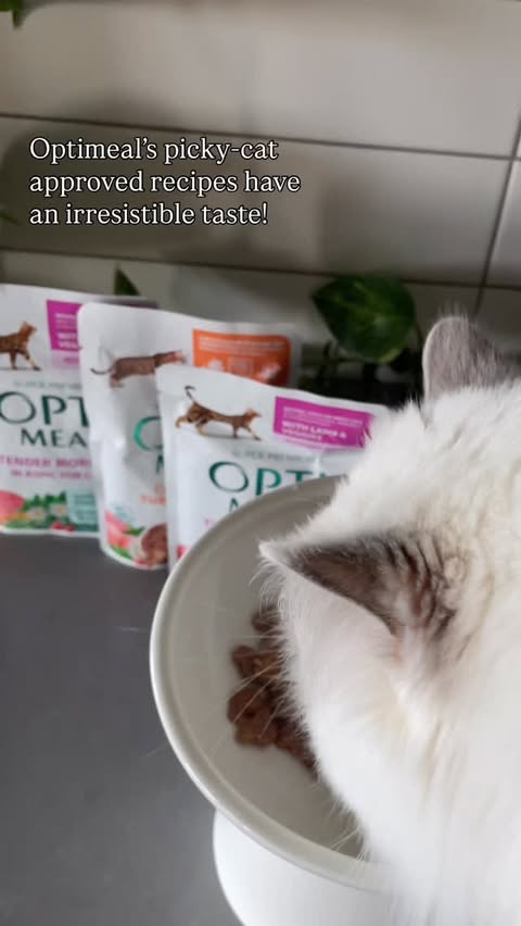 Instagram post by @iris_theragdoll for Optimeal. Caption reads: Iris is eating @optimeal.usa today! She tried out....