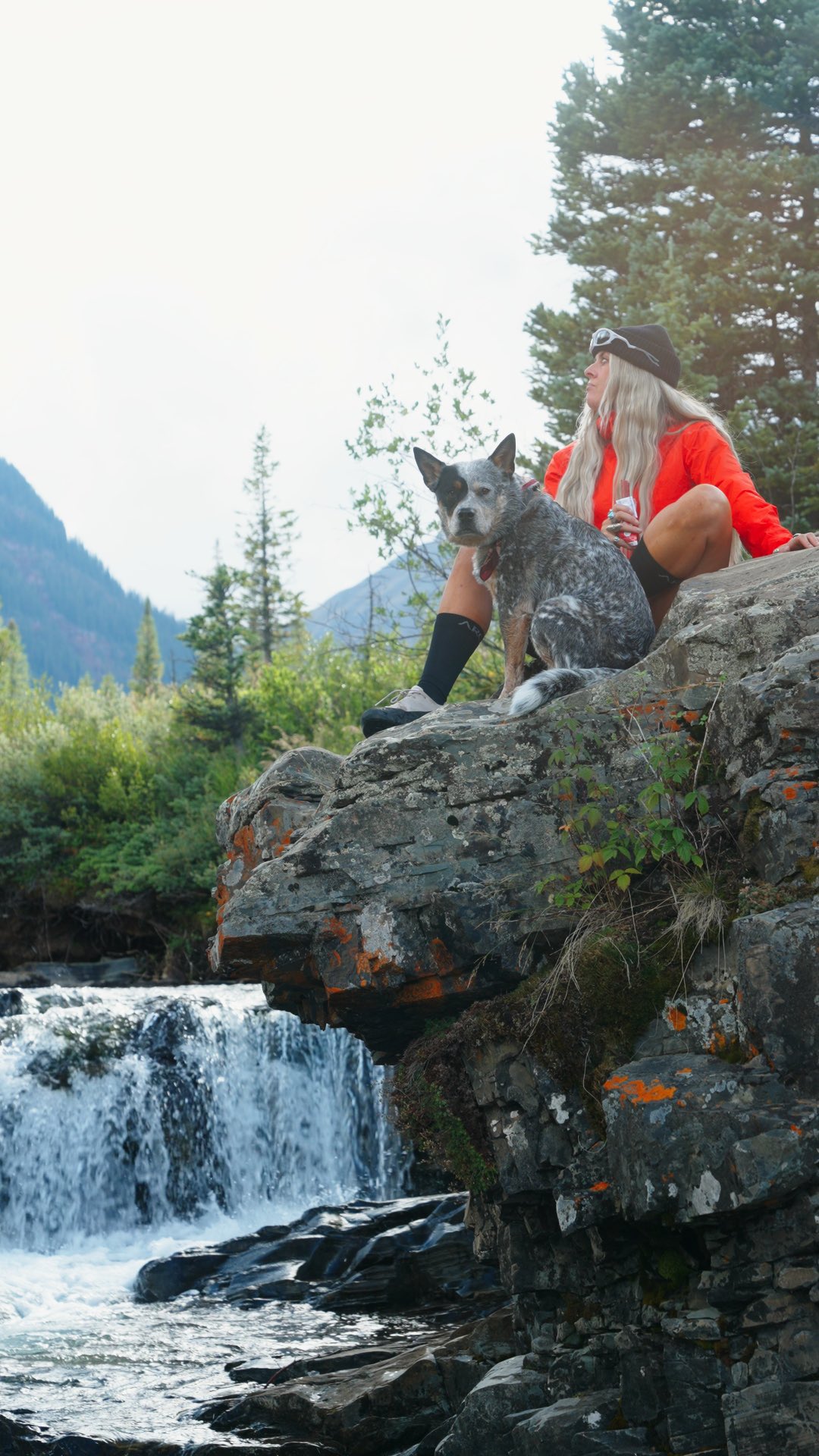 Instagram post by @apollointhewild for 7-Eleven. Caption reads: #ad Getting Apollo ready for a hike means one....