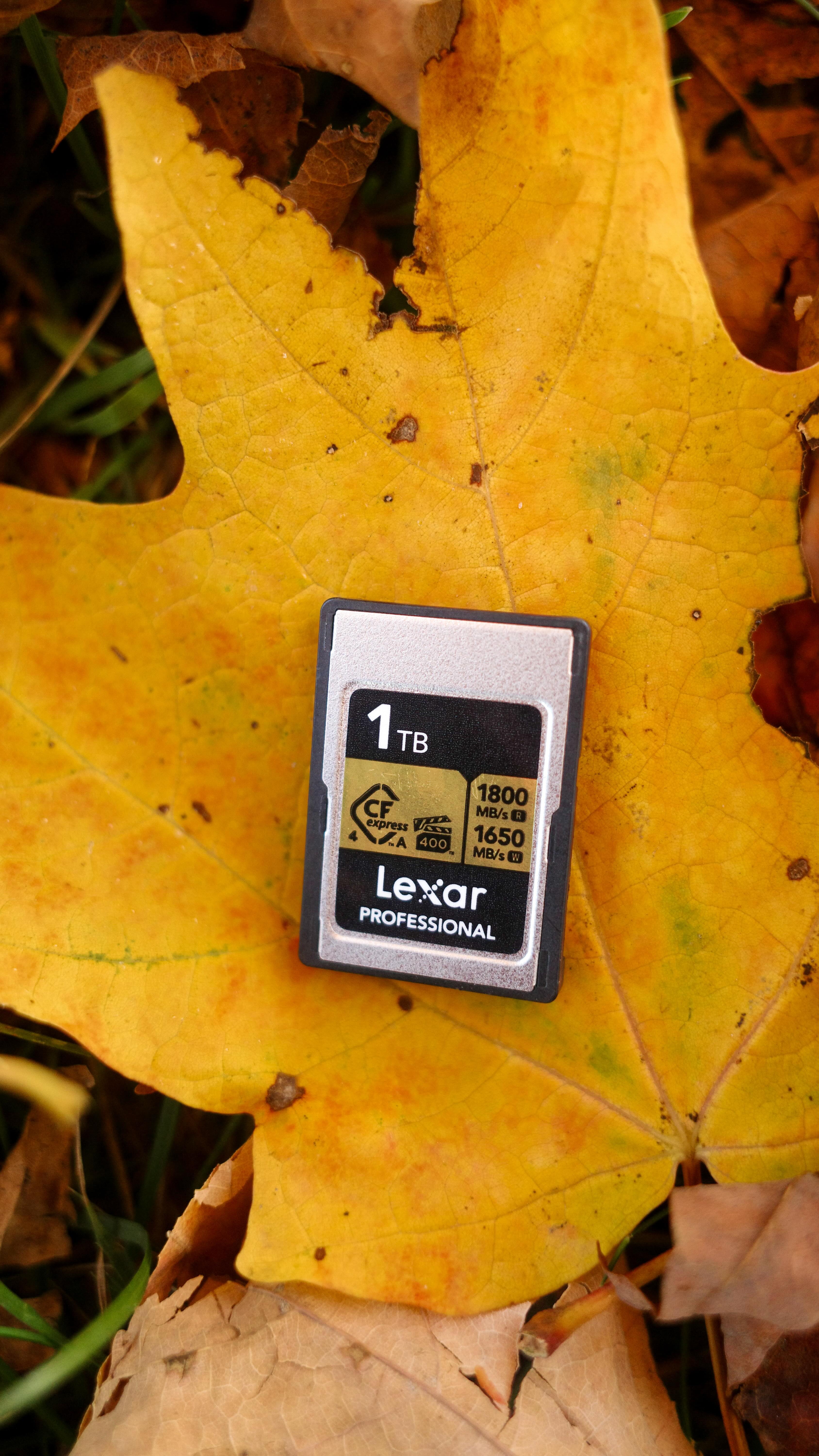 Instagram post by @wildgina for Lexar. Caption reads: Autumn is even more GOLDEN with @lexarmemory GOLD....