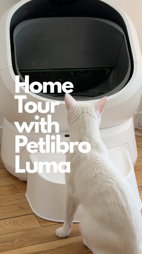 Instagram post by @girlsandtheircats for Petlibro. Caption reads: [...] Your cat deserves a smarter bathroom.....