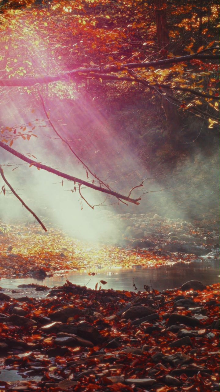 Instagram post by @gokhantarkankaraman for Dehancer. Caption reads: [...] 1080/1920) RedCode Raw Film Emulation:....