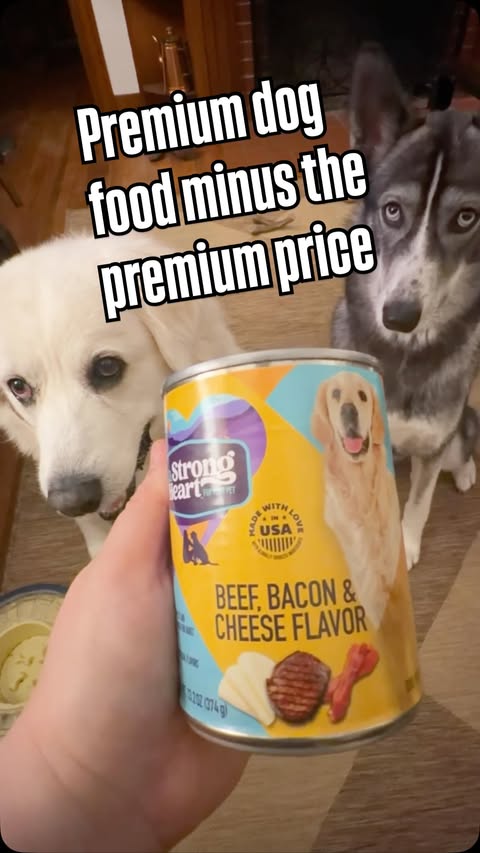 Instagram post by @lulu.the.shepsky for Pawjourr. Caption reads: I genuinely thought feeding your dog “good food”....