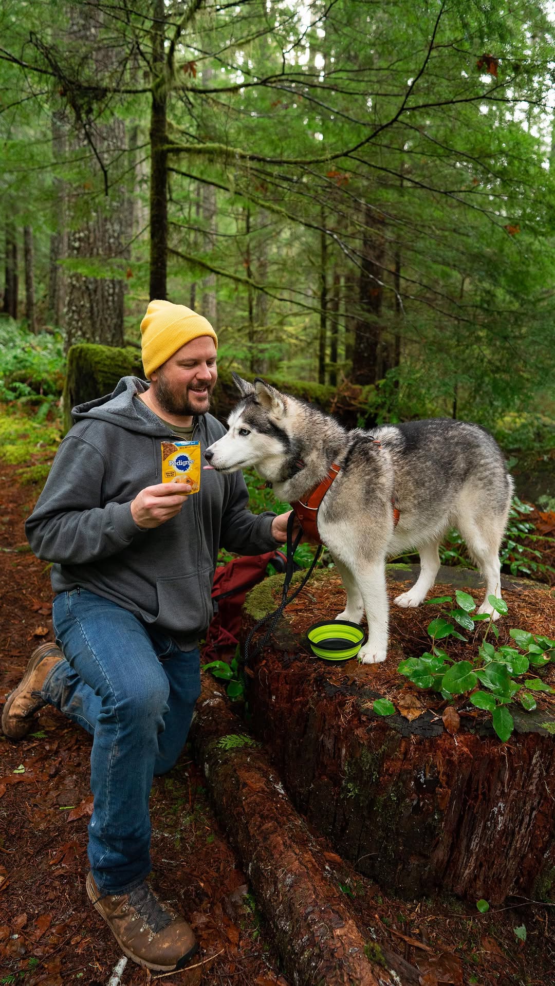 Instagram post by @adam.northwest for SheSpeaks. Caption reads: #AD I love bringing my husky Nova along on all of....