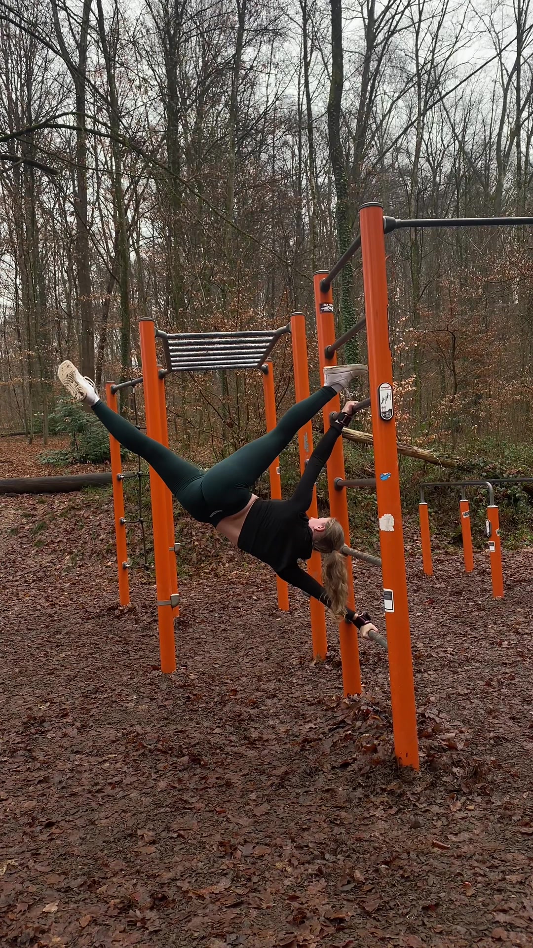 TikTok post by @emily_.erdbeer for Smilodox. Caption reads: [...] vibe>>>> #calisthenics #humanflag #sport....