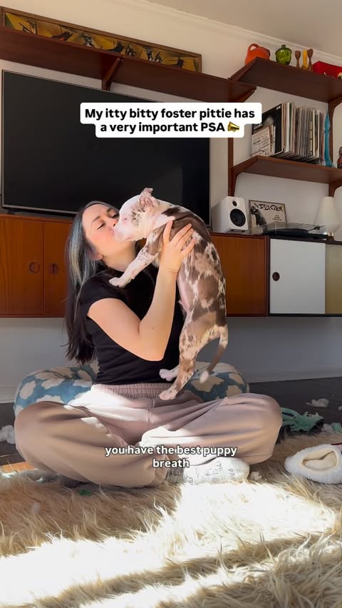 Instagram post by @wethreepitties for Fera Pets. Caption reads: [...] oral hygiene as they age. We use 🦷....