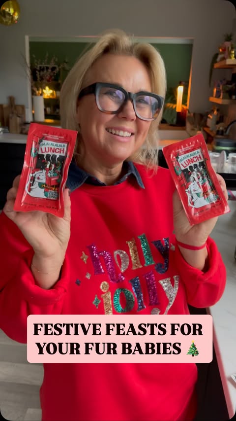 Instagram post by @thisgirlcanorganise for KatKin. Caption reads: If the humans get a Christmas feast, the cats....