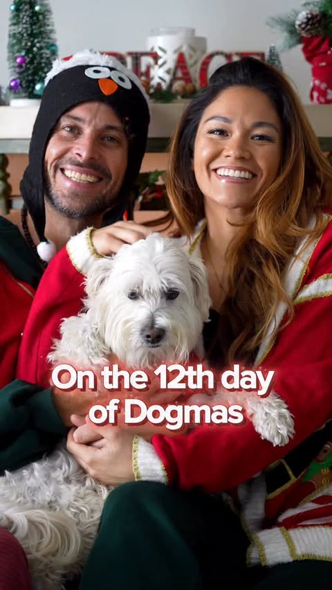 Instagram post by @torinishino for Wellness Pet Food. Caption reads: Which “Day of Dogmas” do you think was Bon Bon’s....