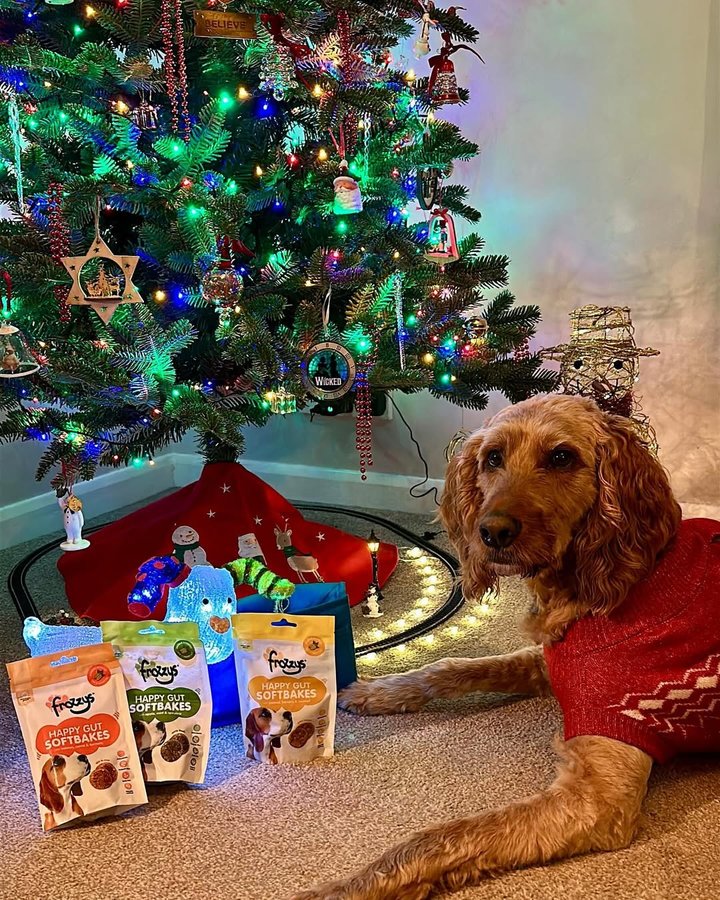 Instagram post by @adventures_of_rusty_and_louis for Frozzys. Caption reads: Happy Snack-a-day! 

We absolutely love @frozzys_....