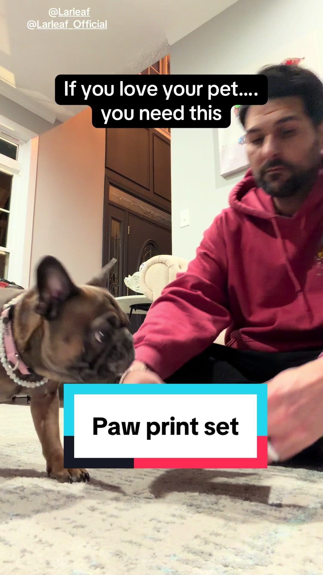 TikTok post by @imishak83 for Larleaf. Caption reads: [...] #dog #frenchiesoftiktok #frenchie @Larleaf....