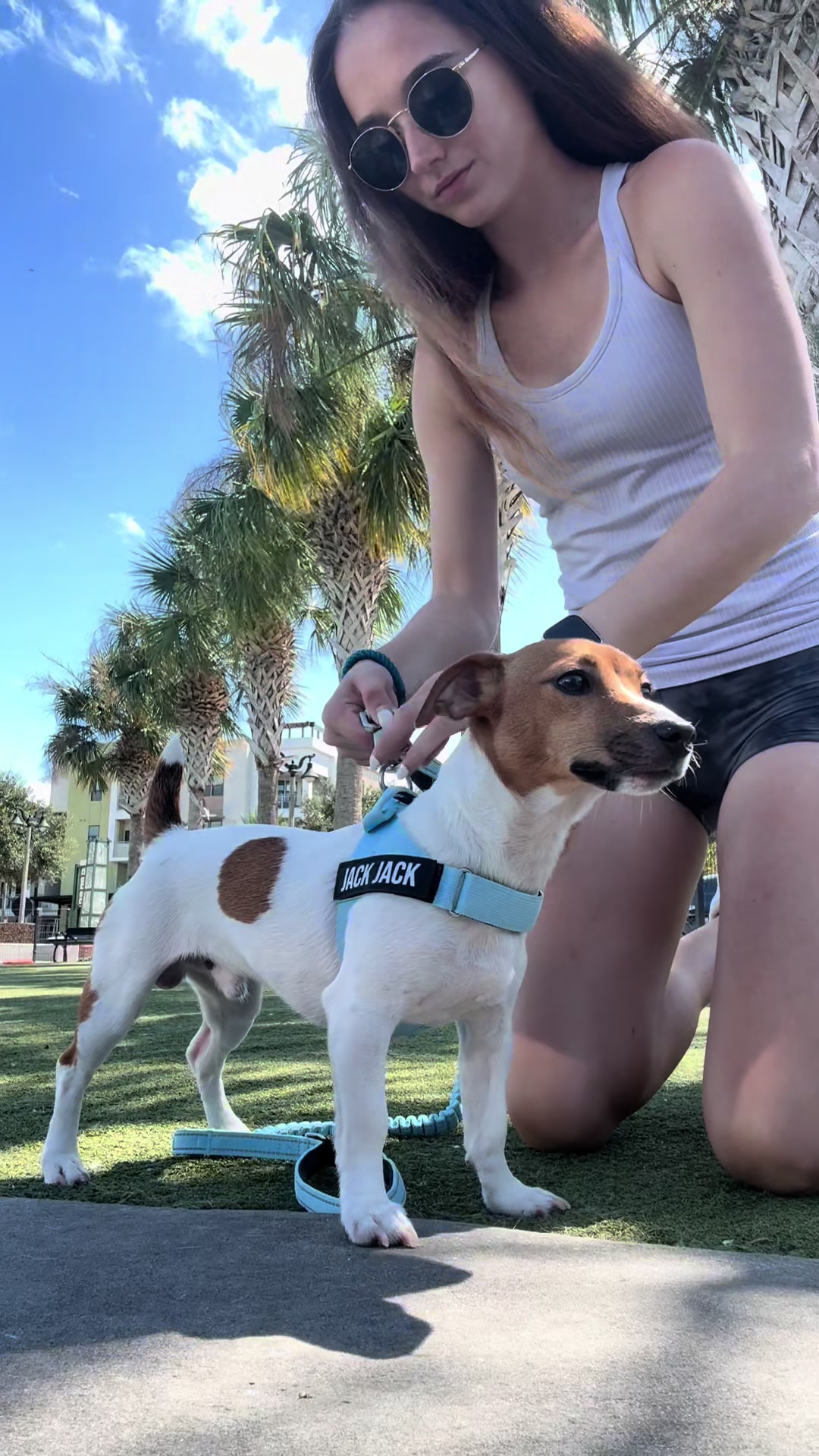 TikTok post by @brooklyn.gabi for Dog Friendly Co. Caption reads: Thank you so much @dogfriendlyco !! Jack Jack is....