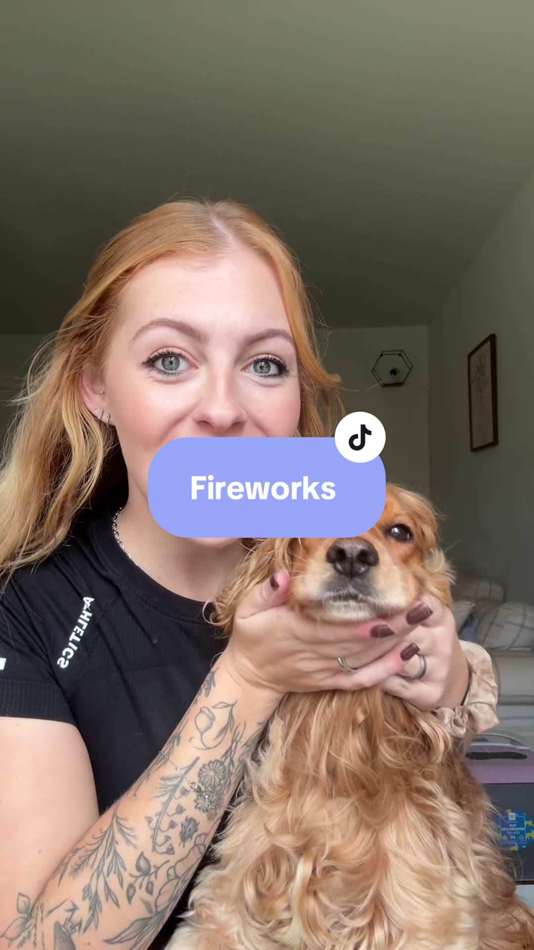 TikTok post by @bestbarkingbehaviour for Herbal Dog Co. Caption reads: [...] beat the anxiety! @Soothe and Settle @Herbal....