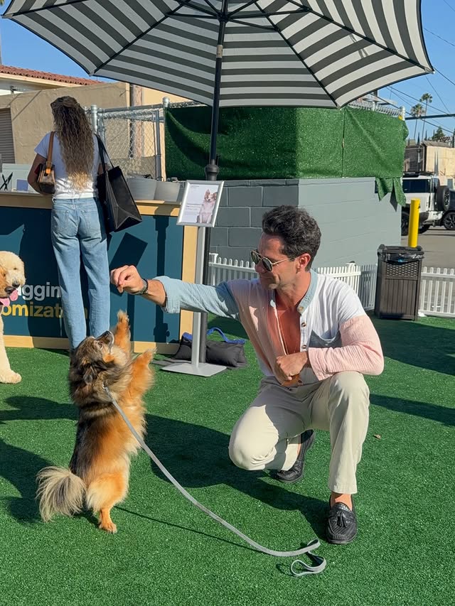 Instagram post by @sashafarber1 for JustFoodforDogs. Caption reads: [...] So when we got invited to the....