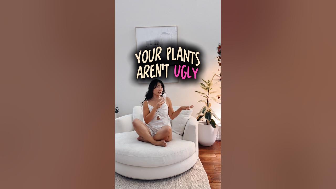 YouTube post by @ohtheplacesyoullgrow for Leroy’s Blend. Caption reads: Your plants aren’t UGLY #shorts #hoya #trellis....