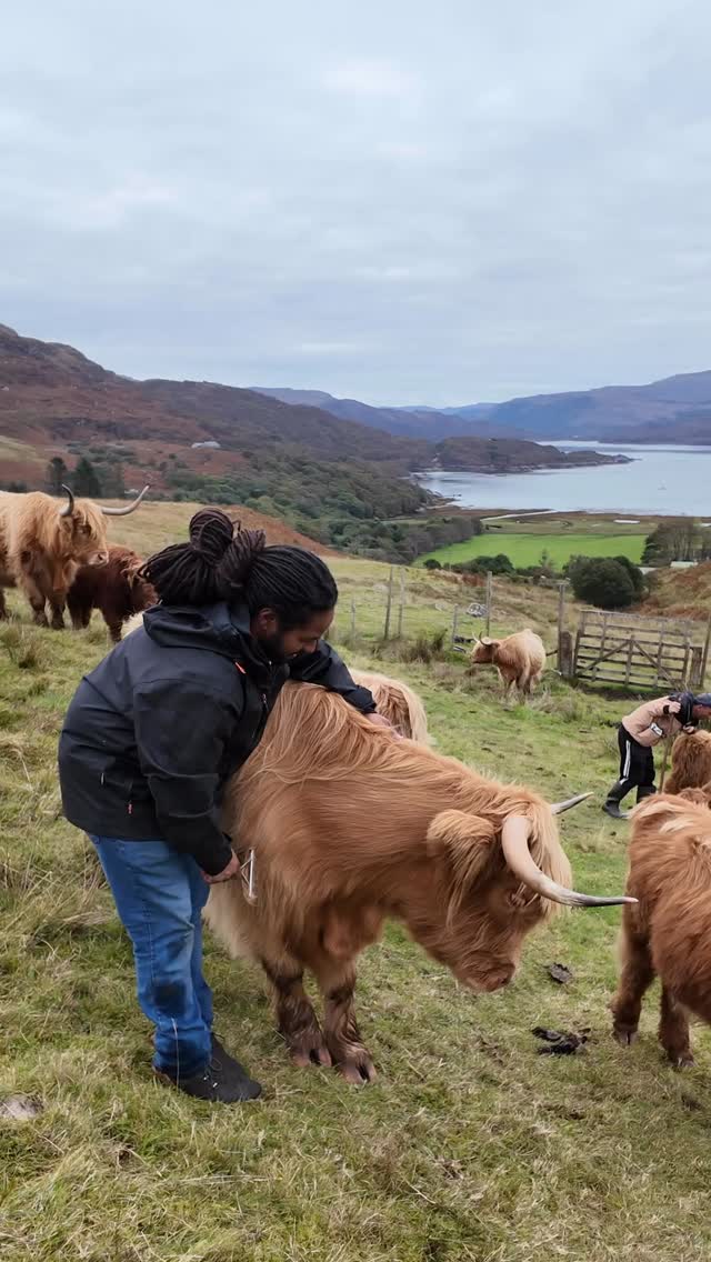 Instagram post by @hamzayassin90 for Just Play. Caption reads: #ad It was wonderful to be able to gift two of my....