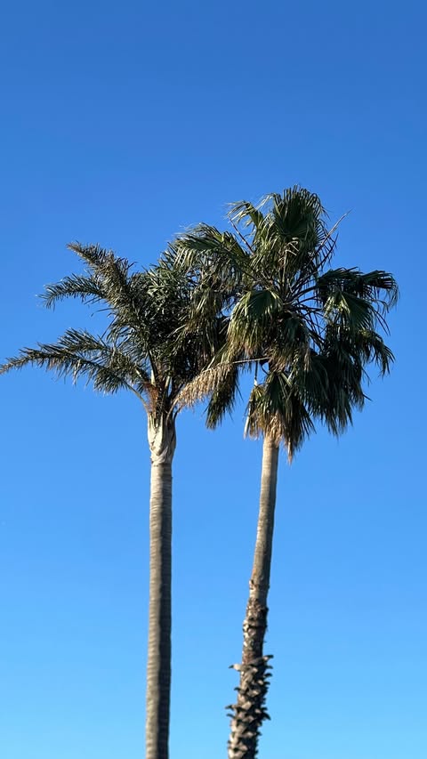 Instagram post by @chrissymenzies__ for Cotton On Body. Caption reads: 😩🫢 the girls are BACK! 

#explorepage....