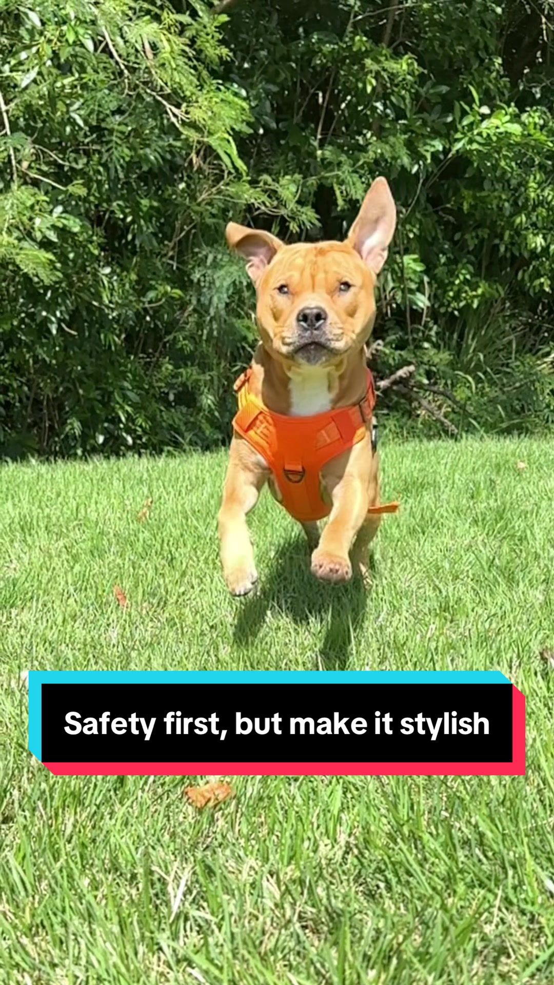 TikTok post by @kaja_macho for Rabbitgoo. Caption reads: [...] my code IGTKKAJAMACHO15 for 15% off at....