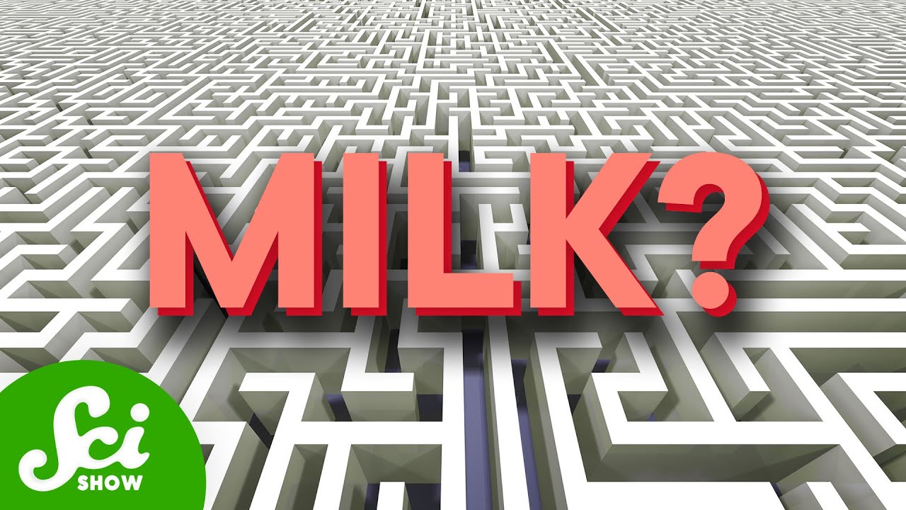 YouTube post by @SciShow for Brilliant.org. Caption reads: 5 Things That Shouldn't Be Able to Solve a Maze.