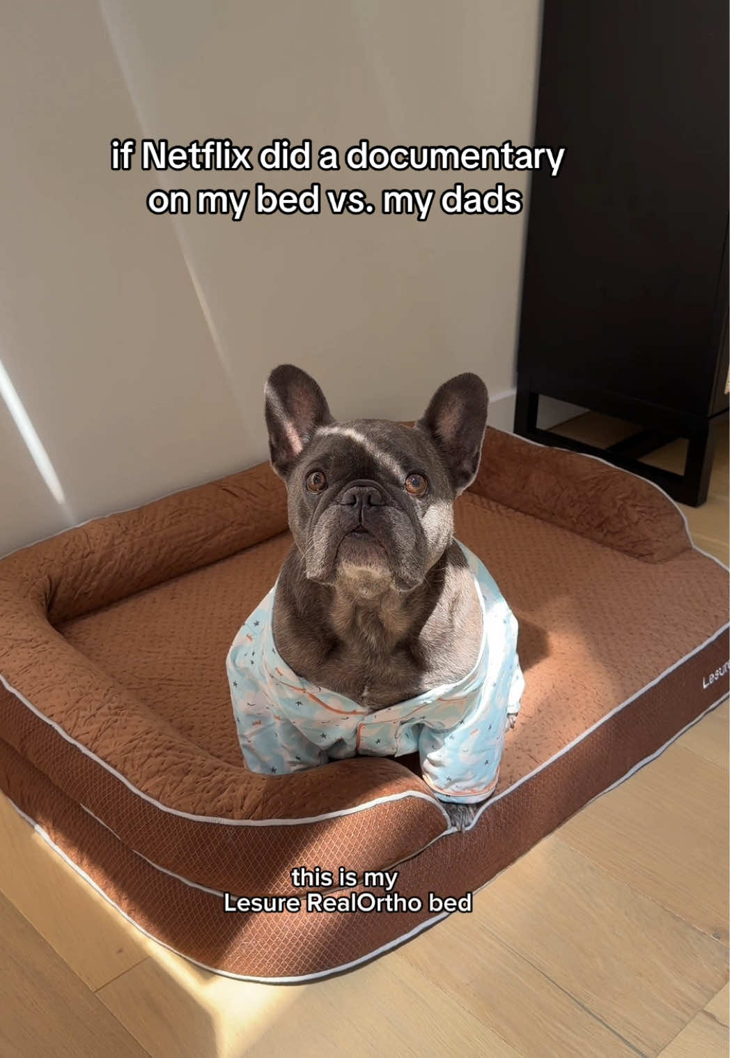 TikTok post by @winstonthefrenchiee_ for Lesure Pet. Caption reads: [...] If only there was a human version of @Lesure....