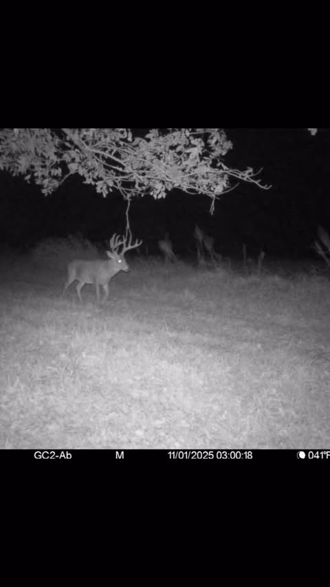 Instagram post by @daveystuckey_hunting for Novix Outdoors. Caption reads: [...] to my sponsors!!! @spartan_camera....