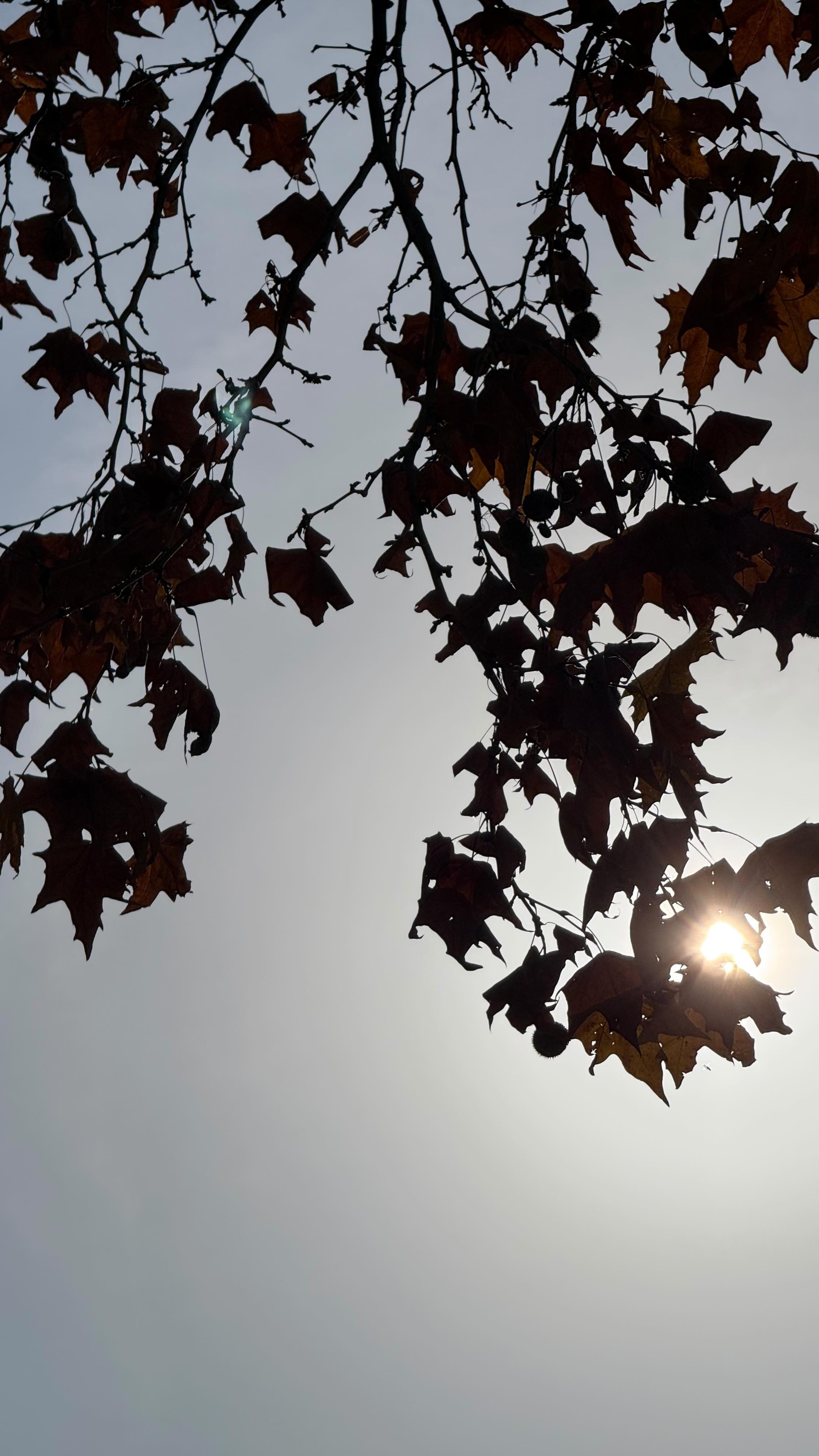 Instagram post by @zardiashviliani for Beautytap. Caption reads: Soft skin days start with K-BYE 🤍 @kbye.patch....