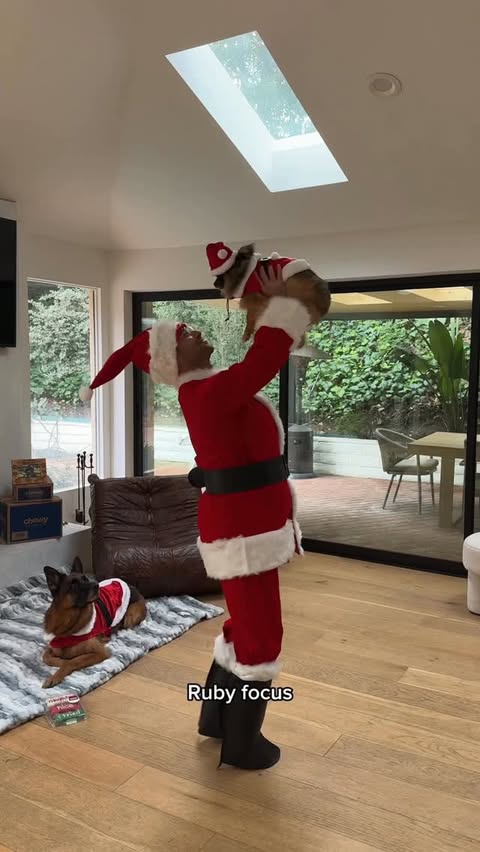 Instagram post by @sashafarber1 for Chewy. Caption reads: Dancing for a good cause 🧑‍🎄🐾
Submit your pet’s....