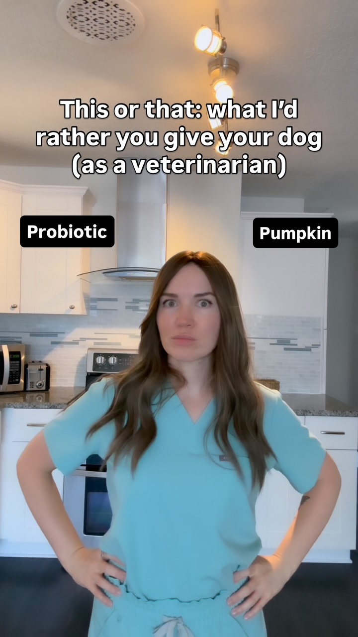 Instagram post by @doctorwolfe.dvm for Vetnique. Caption reads: Here’s why ⬇️ 

➡️ Coconut oil lacks essential....