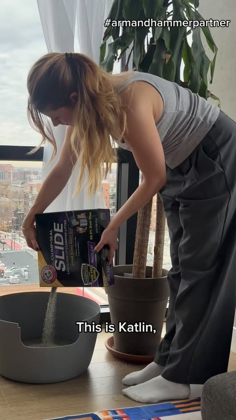 Instagram post by @katlinsannan for ARM and HAMMER. Caption reads: Keeping your home fresh and your cat happy has....