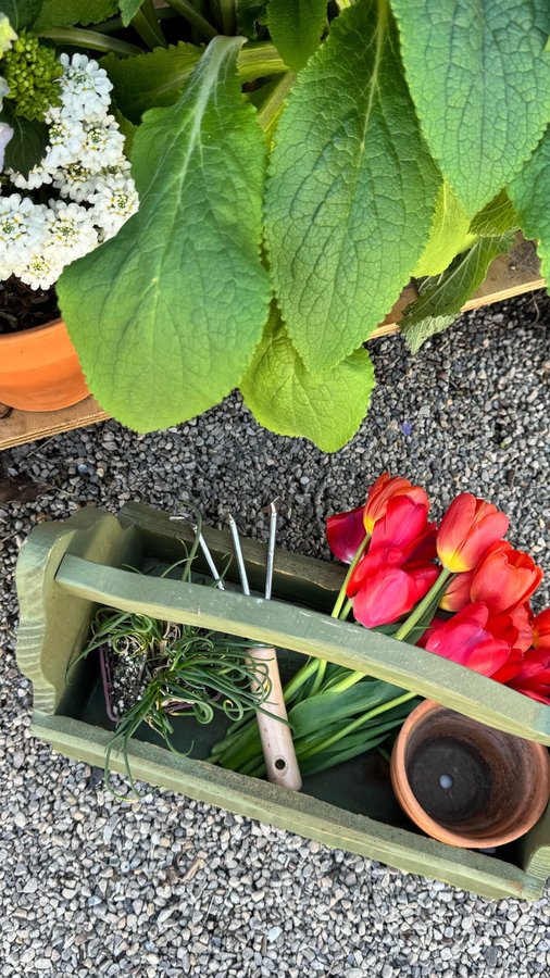 Instagram post by @apkipps for Ferry-Morse. Caption reads: [...] garden this year with the help of....