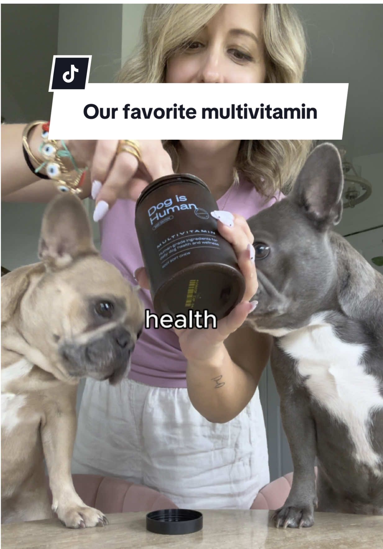 TikTok post by @lavenderlattekaylin for Dog is Human. Caption reads: Lavender going chaos mode over @Dog is Human....