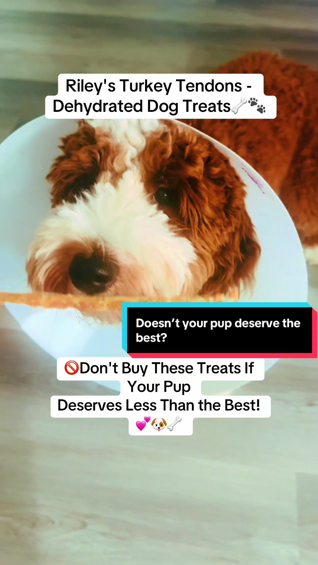 TikTok post by @styledbyallice for PetMD Store. Caption reads: Riley's Turkey Tendons - Dehydrated Dog Treats🦴🐾....