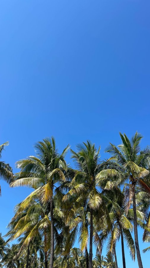 Instagram post by @marieaarm for Ponyflo Hats. Caption reads: How cute is this @ponyflo hat! Lightweight,....