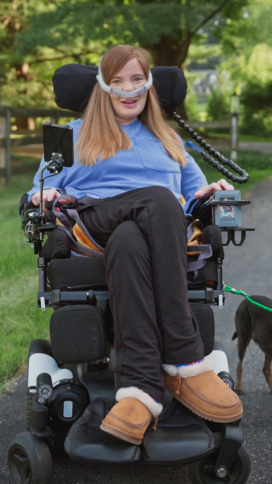 Instagram post by @limpbroozkit for Chewy. Caption reads: Dear Chewy Claus, for Brooke (@limpbroozkit) and....