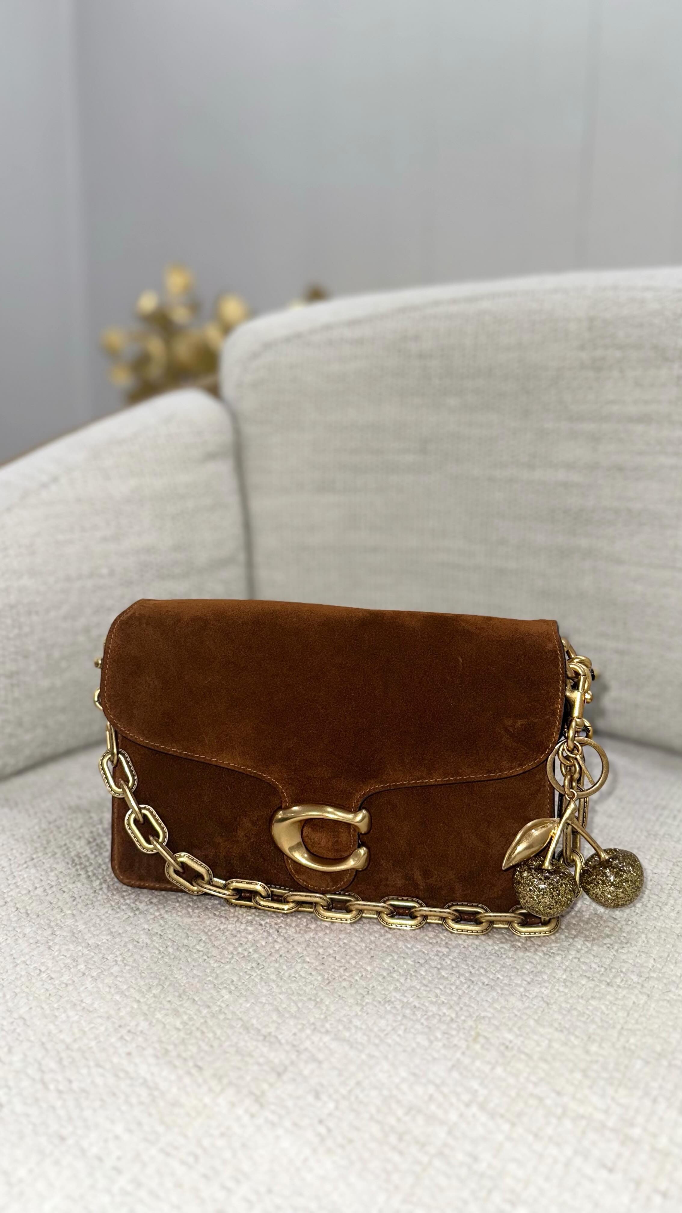 Instagram post by @priscastyleme for Coach. Caption reads: Found the Perfect Suede Bag for Fall/Winter 🤩....