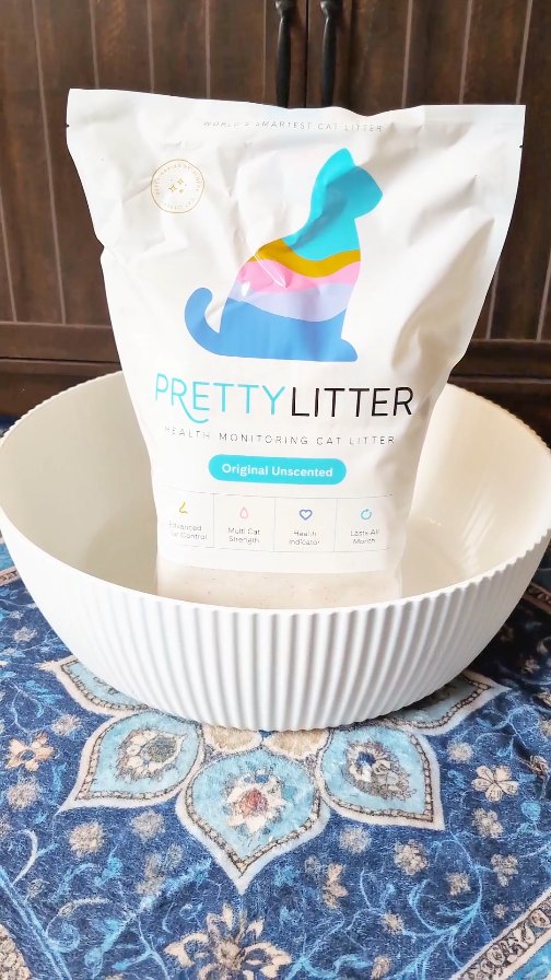 Instagram post by @orangecatnation for PrettyLitter. Caption reads: [...] issues like blood in urine? (#ad)....