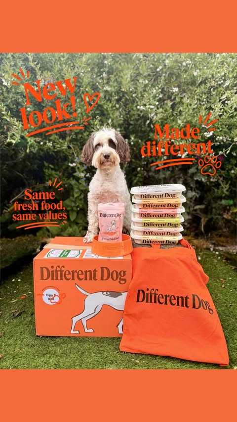 Instagram post by @poppy_n_basil for Different Dog. Caption reads: 𝙉𝙚𝙬 𝙡𝙤𝙤𝙠… 𝙨𝙖𝙢𝙚 𝘿𝙞𝙛𝙛𝙚𝙧𝙚𝙣𝙩....