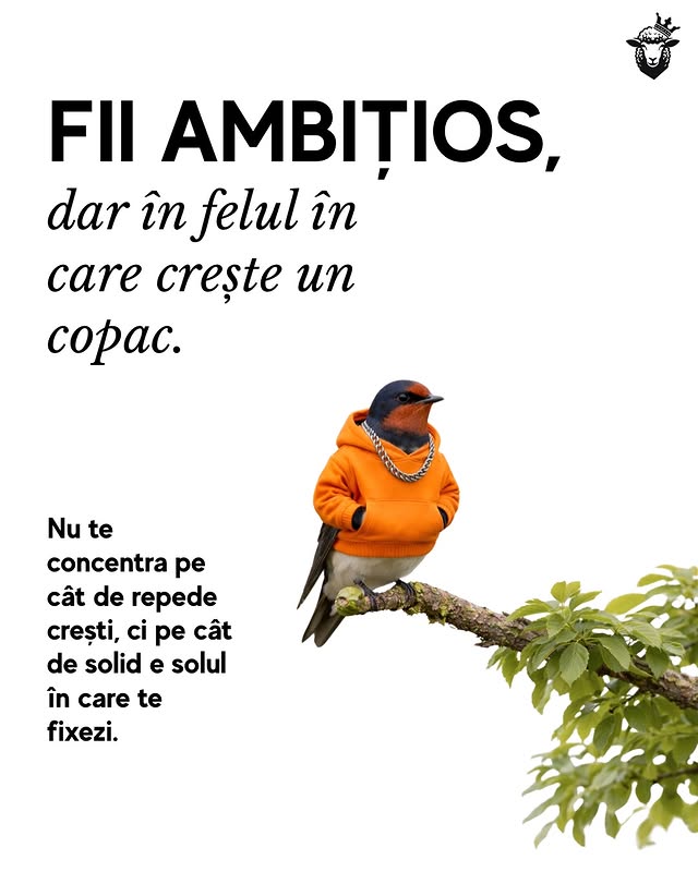 Instagram post by @partidulamabil for ING Romania. Caption reads: În finanțe, ca și în viață, creșterea sănătoasă nu....